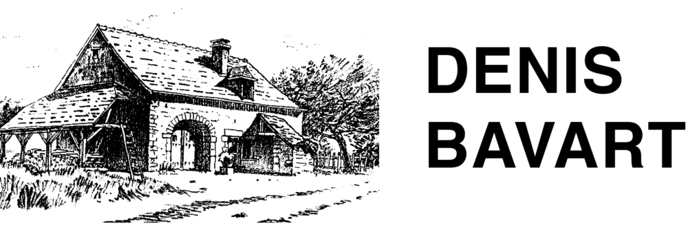 logo copie